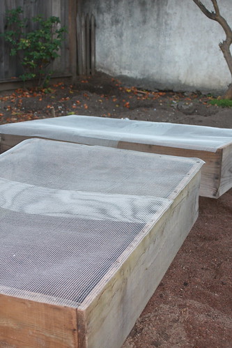 Raised beds waiting by zostra