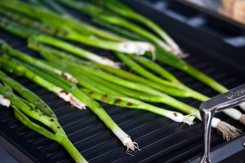 grilled scallions