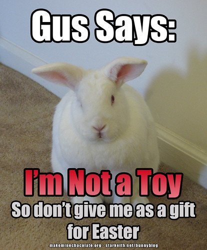 Gus Says: Bunnies aren't toys, so don't give them as gifts for Easter