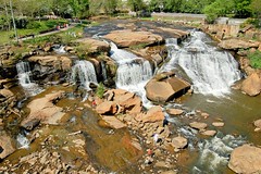 Falls of the Reedy River