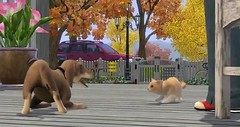 Sims 3 Pets 38