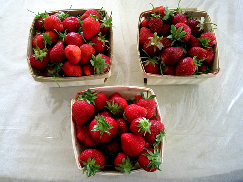 fresh Michigan strawberries
