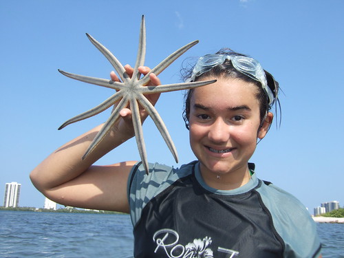 Julia finds a starfish