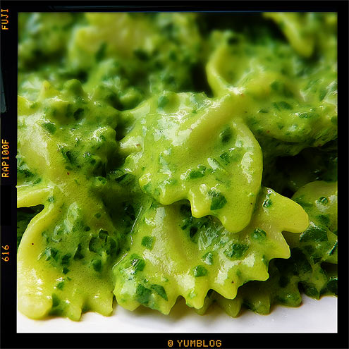 farfalle with spinach, basil and ricotta sauce