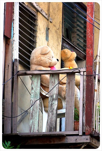 Casco Viejo Balcony with Teddy