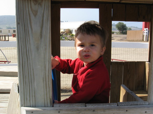 2-year-old Ezra at the Farm