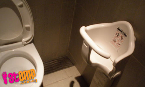 baby_seat_singapore toilet
