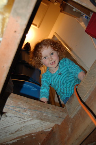 Helping Dad with the crawlspace