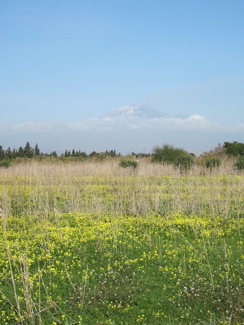 Etna from the fields