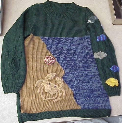 TurtleCrossingSweater