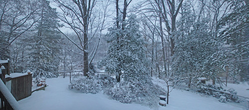 Winter Wonderland panorama