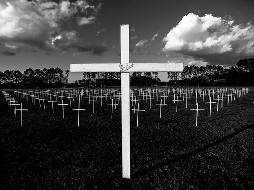 Field of Crosses (18/365)