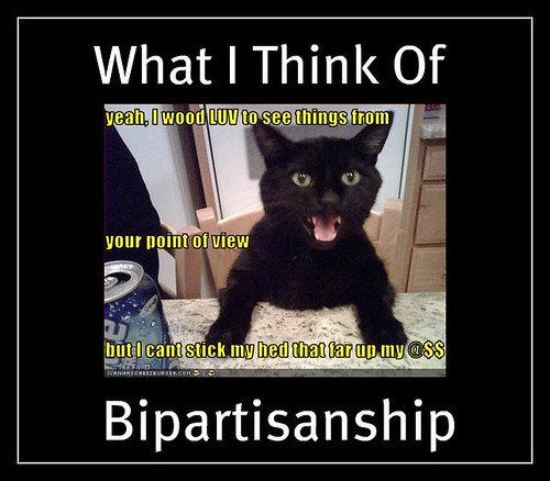 Bipartisanship