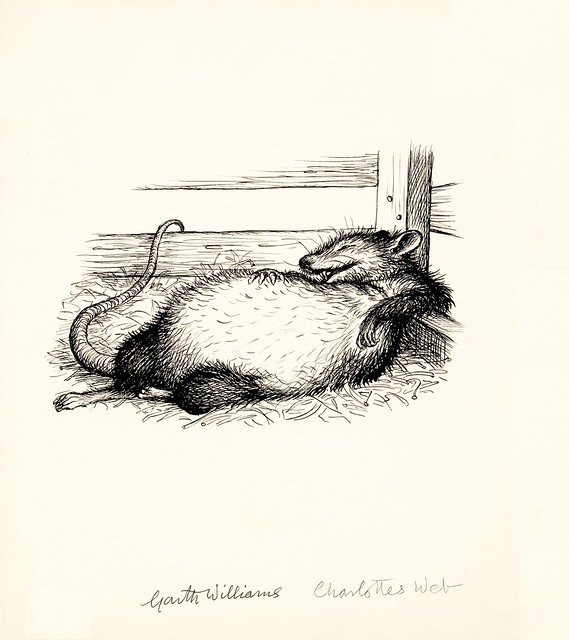 children's book prelim sketch: fat fed rat lying happily on back