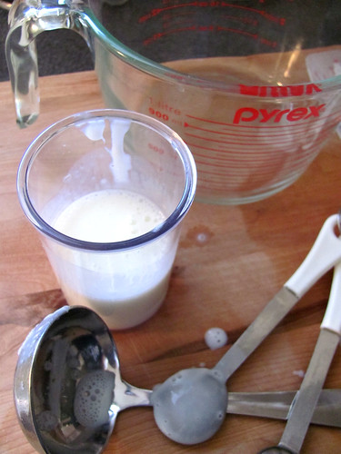 Homemade Yogurt Using Cuisipro Donvier Electric Yogurt Maker