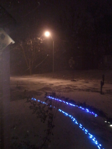 2010-12-11 22-1.29.22 Front Yard Snow