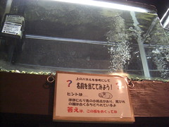 広島市水産振興センター 画像24