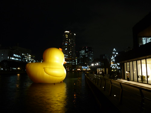 Rubber Duck Project 2010_022