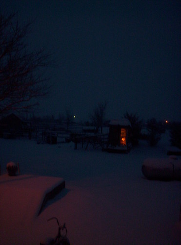 Dawn in our first snow of the year