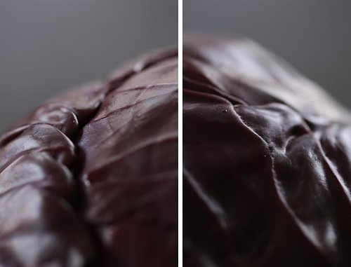 diptych red cabbage rodekool