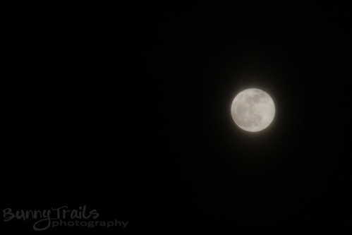 19 - full moon