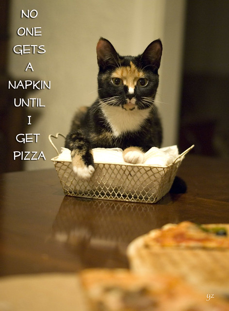 Cats with Captions