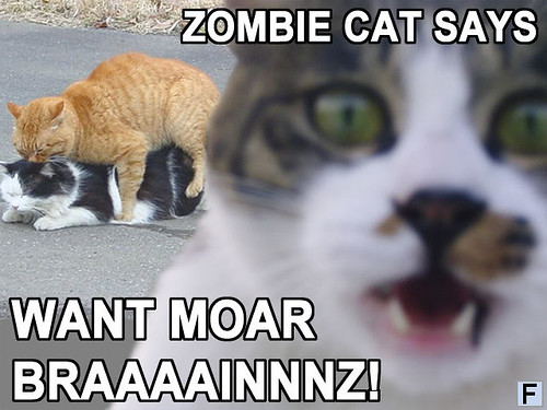 zombie_cat10