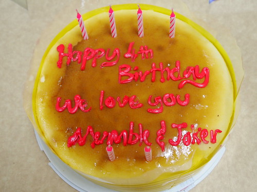Mumble's and Joker's Birthday