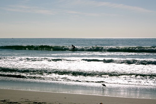 Even the surfers knew it was a perfect day at the beach