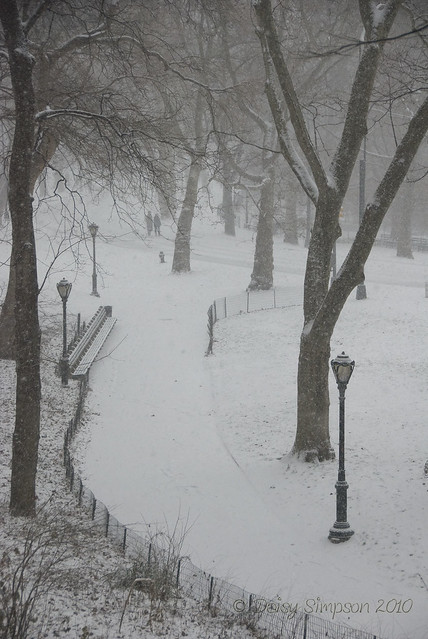 blizzard central park path