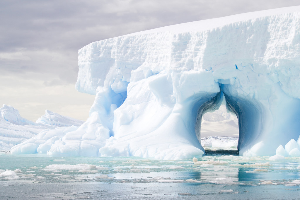 Port Charcot Icebergs