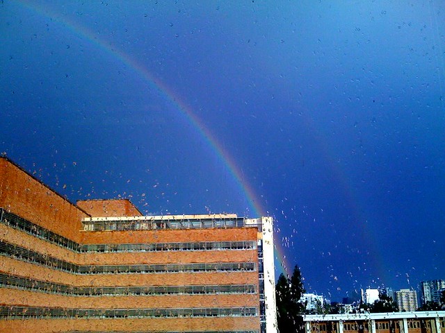 Life:  Double Rainbow'd