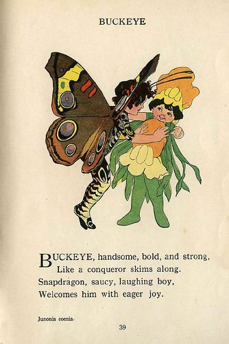 008-The Butterfly Babies' Book 1914- Elizabeth Gordon- Illustrated by M. T. Ross