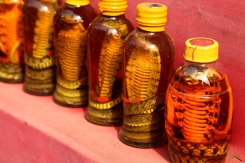 Snake oil, Sapa