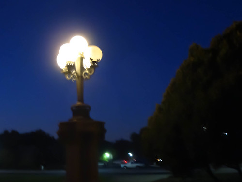 Stanford lamp post by night