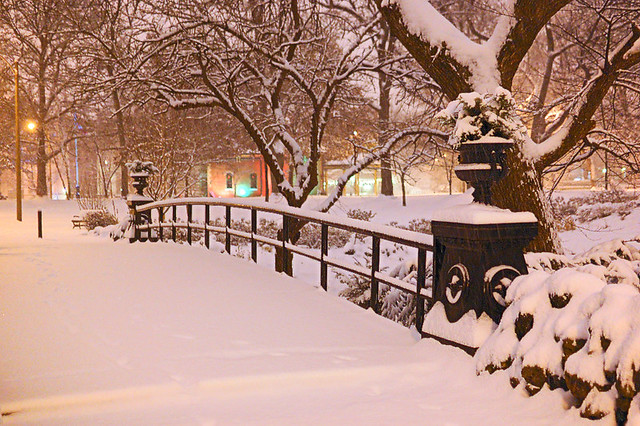 Lafayette Park, in Saint Louis MIssouri, USA - bridge, at night, in the snow