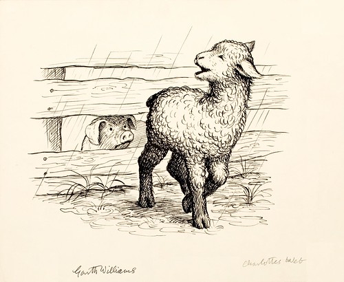 black ink drawing of lamb in rain and pig looking through wooden fence