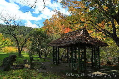 3_MG_3261-Autumn, Fall, Wuling Farm, Taiwan 武陵農場-涼亭-秋天-秋季-雪霸國家公園-台中縣-和平鄉