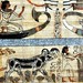 2010_1106_130735AA EGYPTIAN MUSEUM TURIN by Hans Ollermann