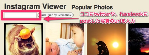 Popular Photos - Instagram Viewer