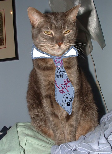 cat wearing ugly tie