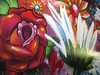 Detail: Blumenauftrag für Thomas Wesseling von SEAK