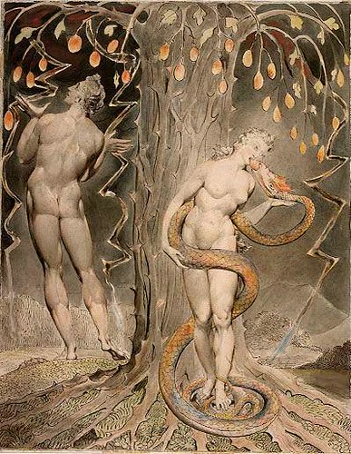 william blake the tyger. THE TYGER by William Blake