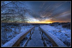 bridge_sunset