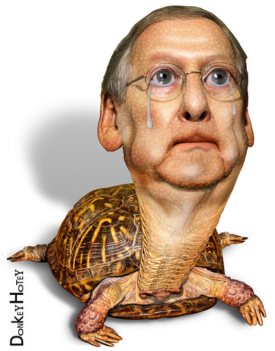 The Kentucky Crying Turtle, Mitch McConnell