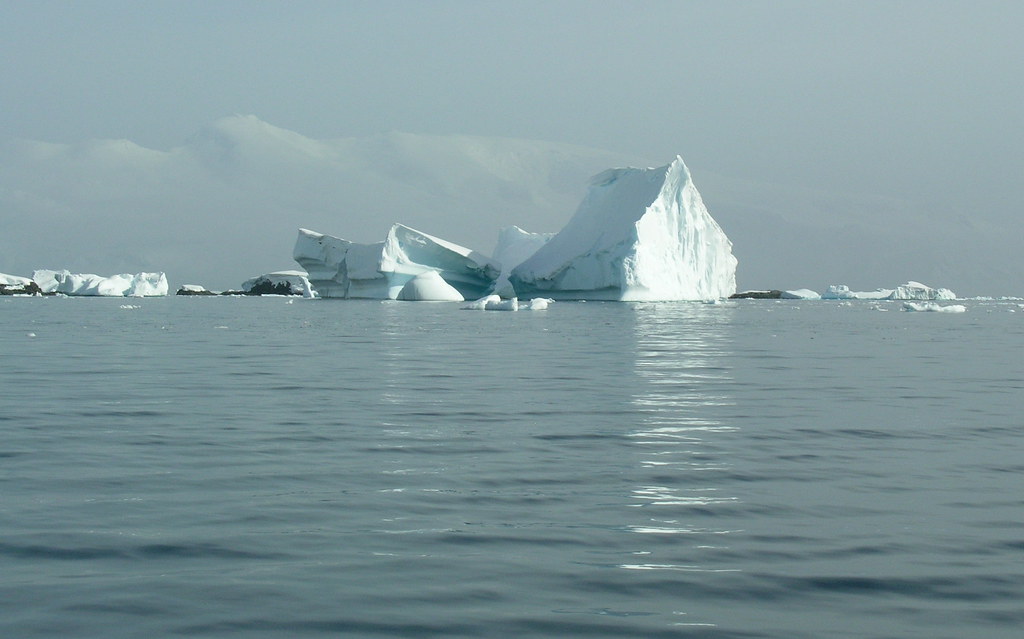 ANTARCTICA2010-100 Foyn Barbour 南極 Foyn灣