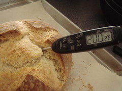 Ricotta Bliss Bread: Internal Temperature