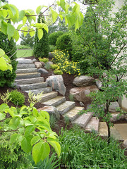 Natural Stone Steps in Landscape