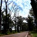 Caminhos pelas estradas do sul - Foto Rê SarmentoDSC00224