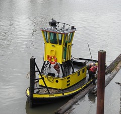 The (teeny) tugboat Rossco